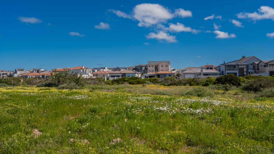 0 Bedroom Property for Sale in Blue Lagoon Western Cape